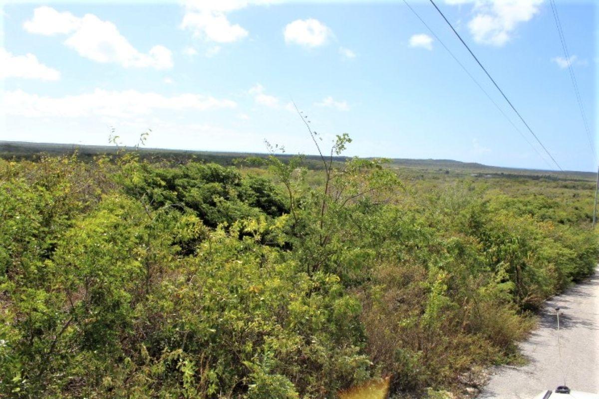 LOT# C3 SCRUB HILL — photo 5