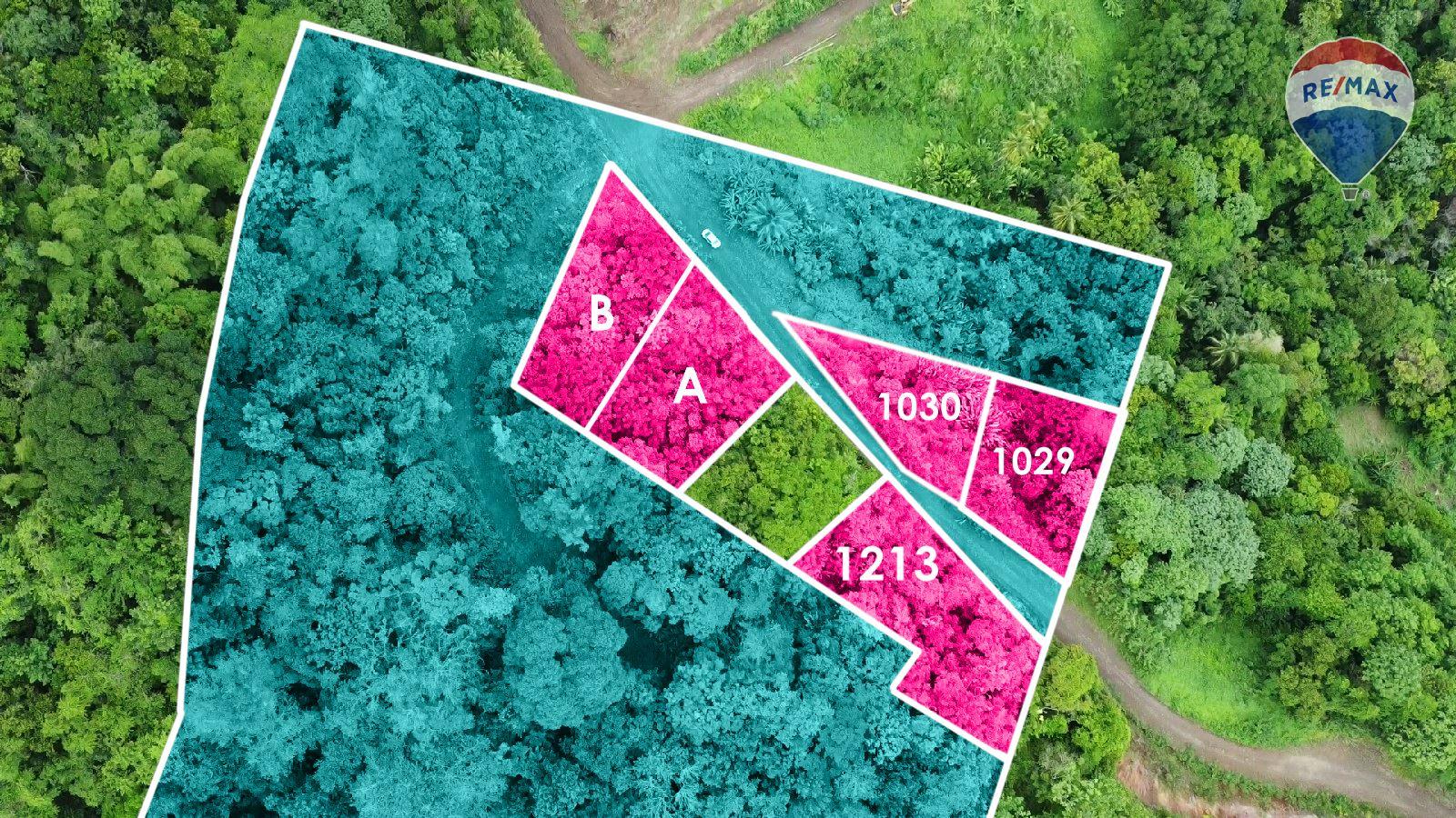 Affordable Elevated Lots for Sale in Balata: Build Your Dream Home in Paradise — photo 1