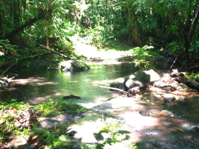 23 Acres of Pristine Land for Sale, Central Dominica — photo 3