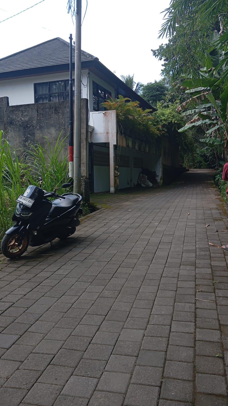 Beautiful land for sale in Kelusa, Payangan, Gianyar, Bali — photo 1