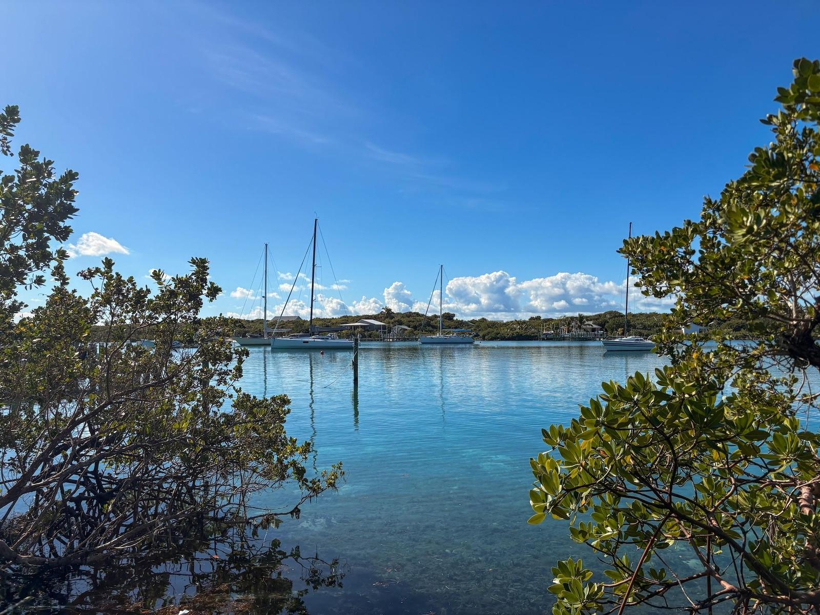 MAN O WAR CAY — photo 5