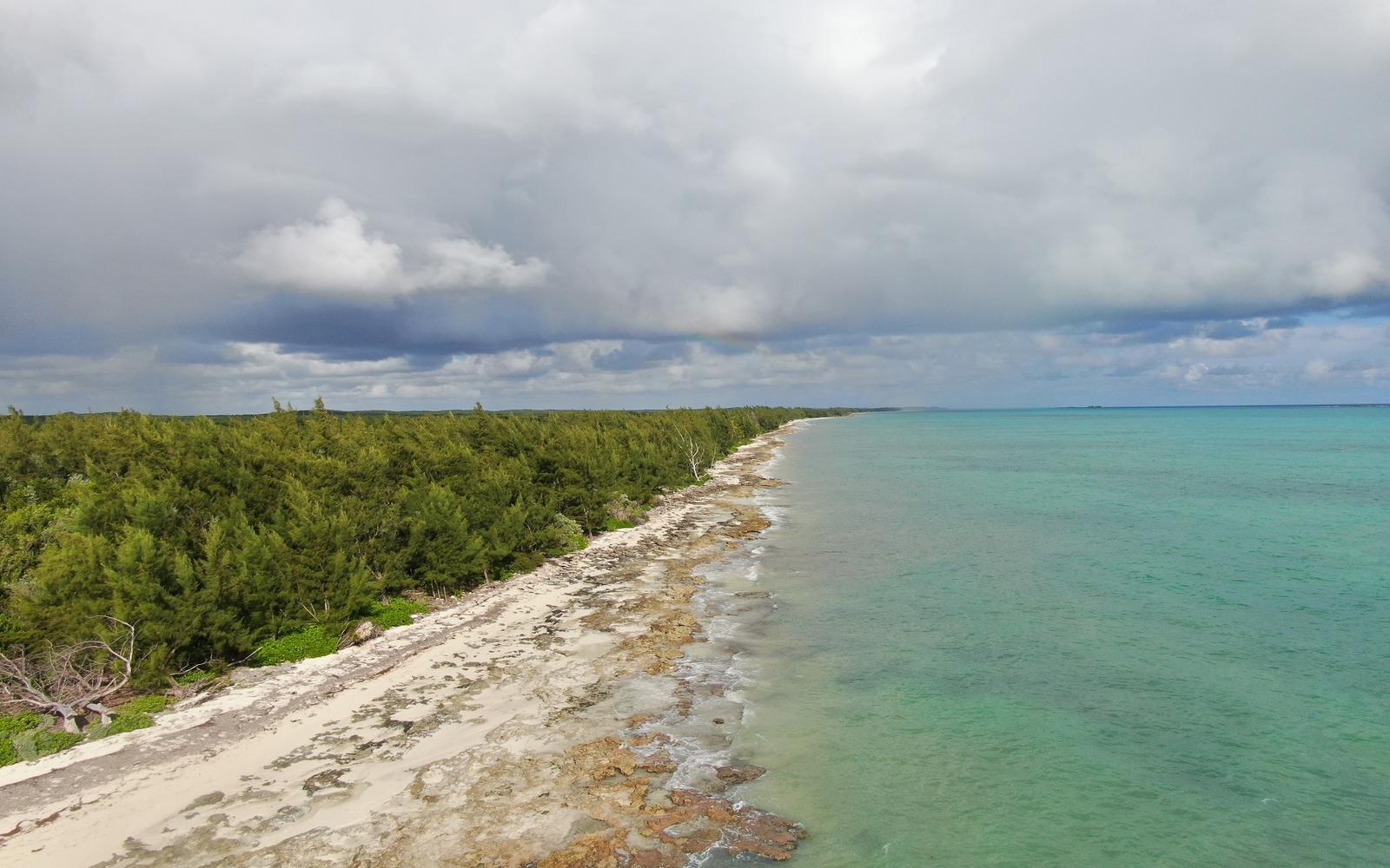809 Tract of Waterfront Land, South Andros - MLS 68613 — photo 1