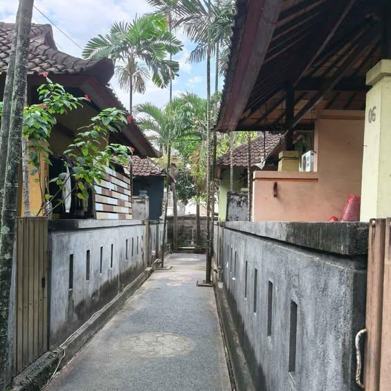 Studio house in Denpasar — photo 1
