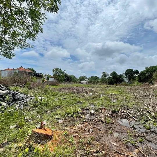 Land for sale in Denpasar — photo 1