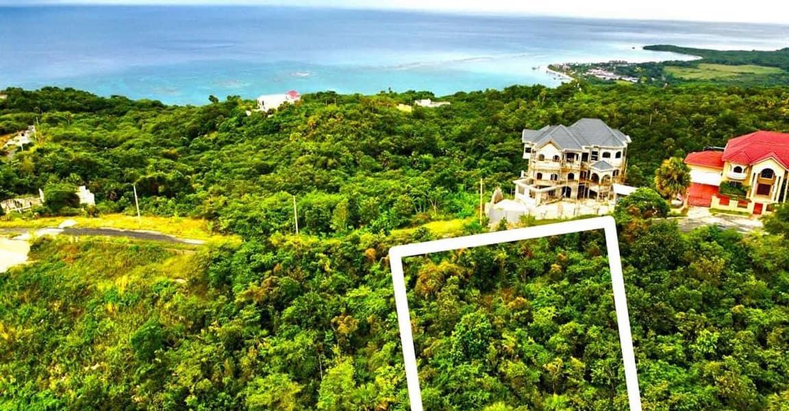 0.51 Acre Lot for Sale in Anchor, Culloden, Westmoreland, Jamaica — photo 2