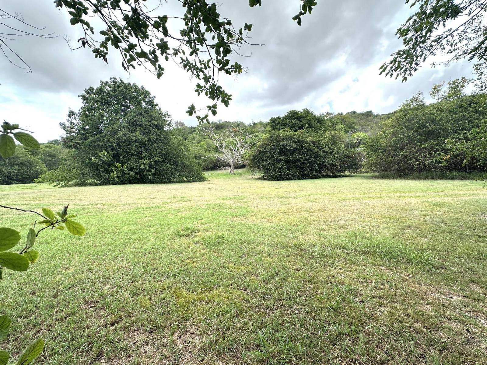 0.56 Acre Homesite in Queen's Quarter — photo 1