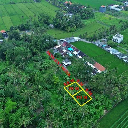 Land plot for sale in Wanasara, Tabanan — photo 1