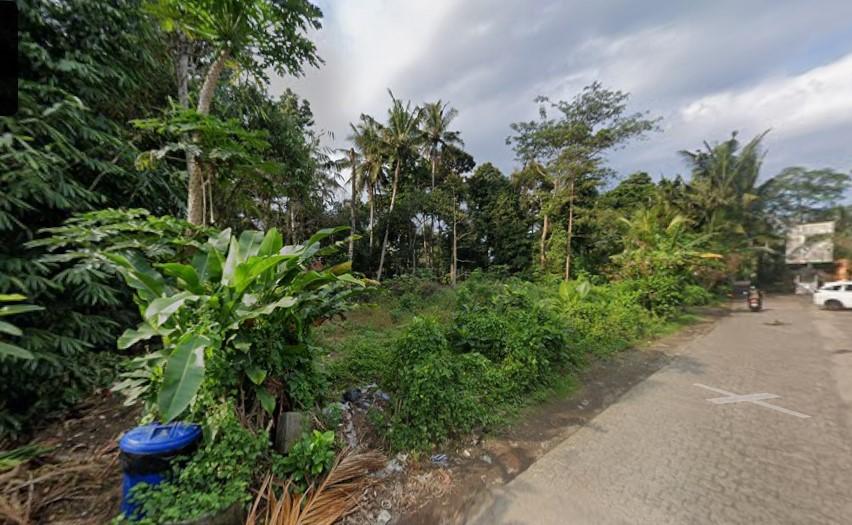 Premium Development Plot for Lease in Ubud — photo 2