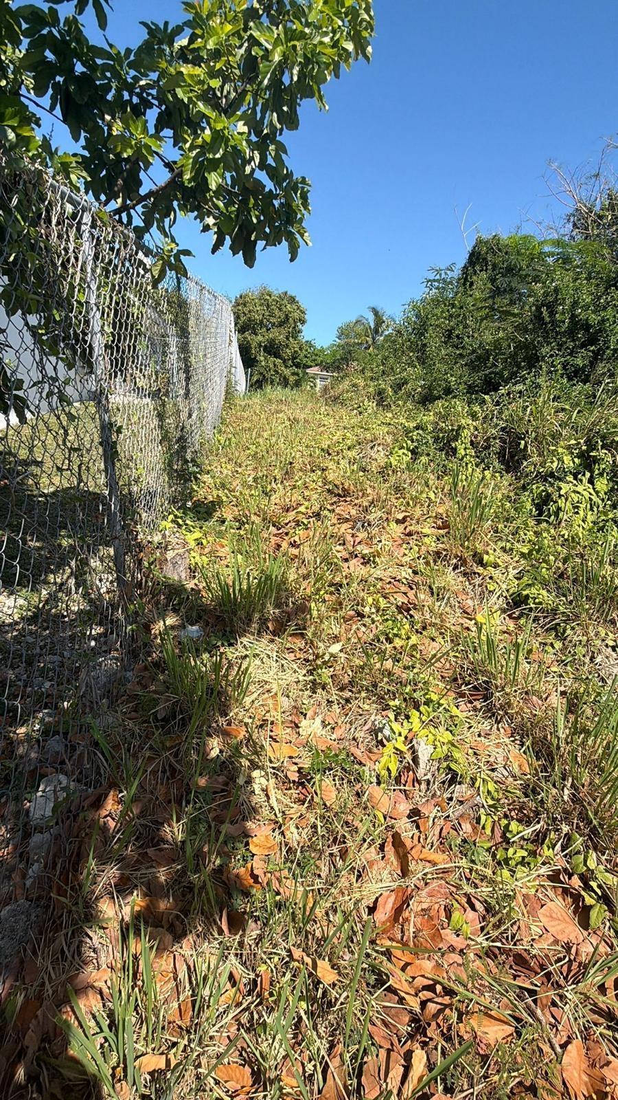 Vacant Lot on Snowbell Lane, Garden Hills Estate — photo 4