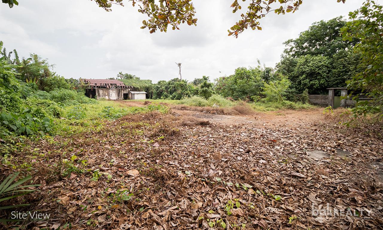 Ready to build 20 – 30 are freehold land with scenic nature views in Cepaka — photo 1