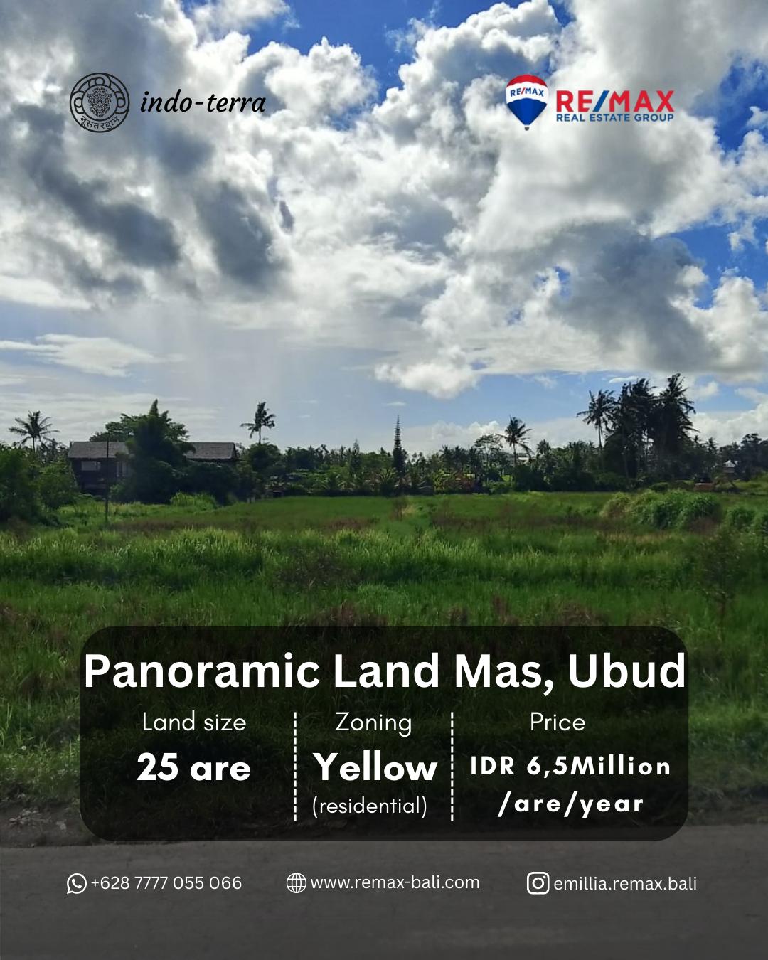 Panoramic Land for Sale in Mas, Bali — photo 1