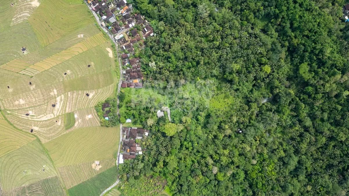 1.18 Ha Freehold Land for Sale in Tabanan with Jungle & River Views — photo 3
