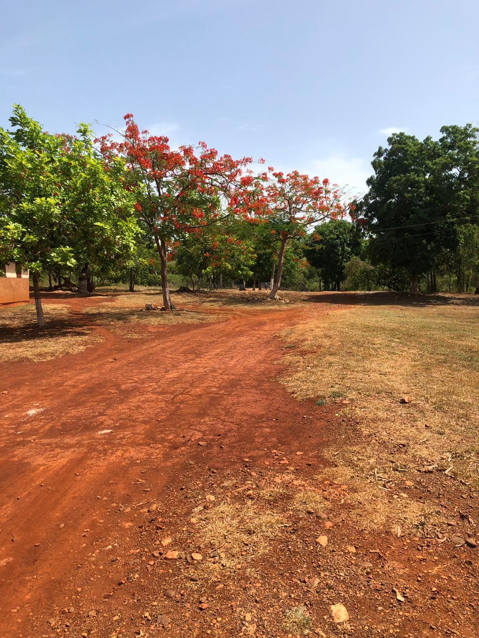 DOVER, GUANABOA VALE P.O. St. Catherine Guanaboa Vale — photo 1