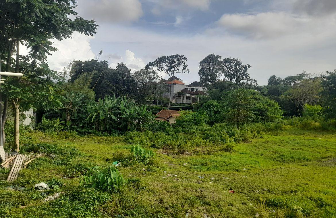 2,230 sqm Padonan Land Ideal for Residence or Villa Complex in Canggu, Bali, Indonesia — photo 2