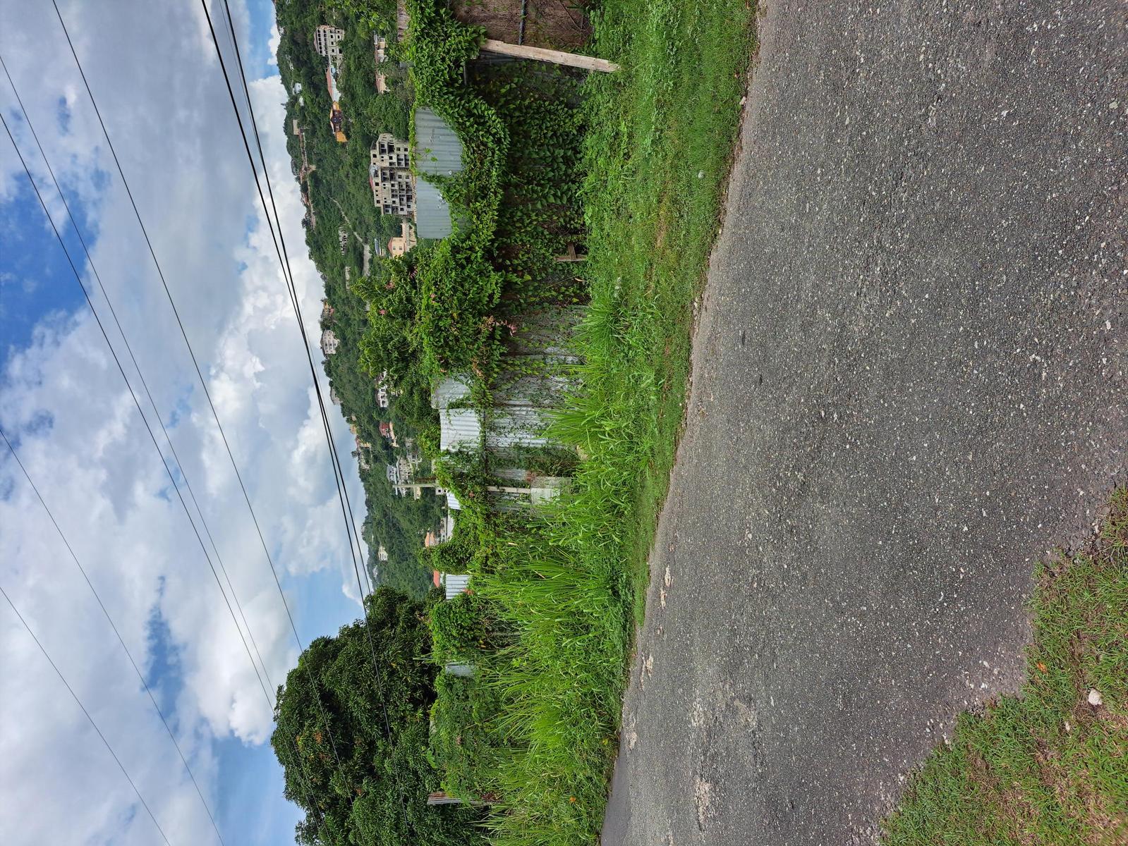 Residential Lot on Mayfield Avenue, Kingston 19 — photo 3