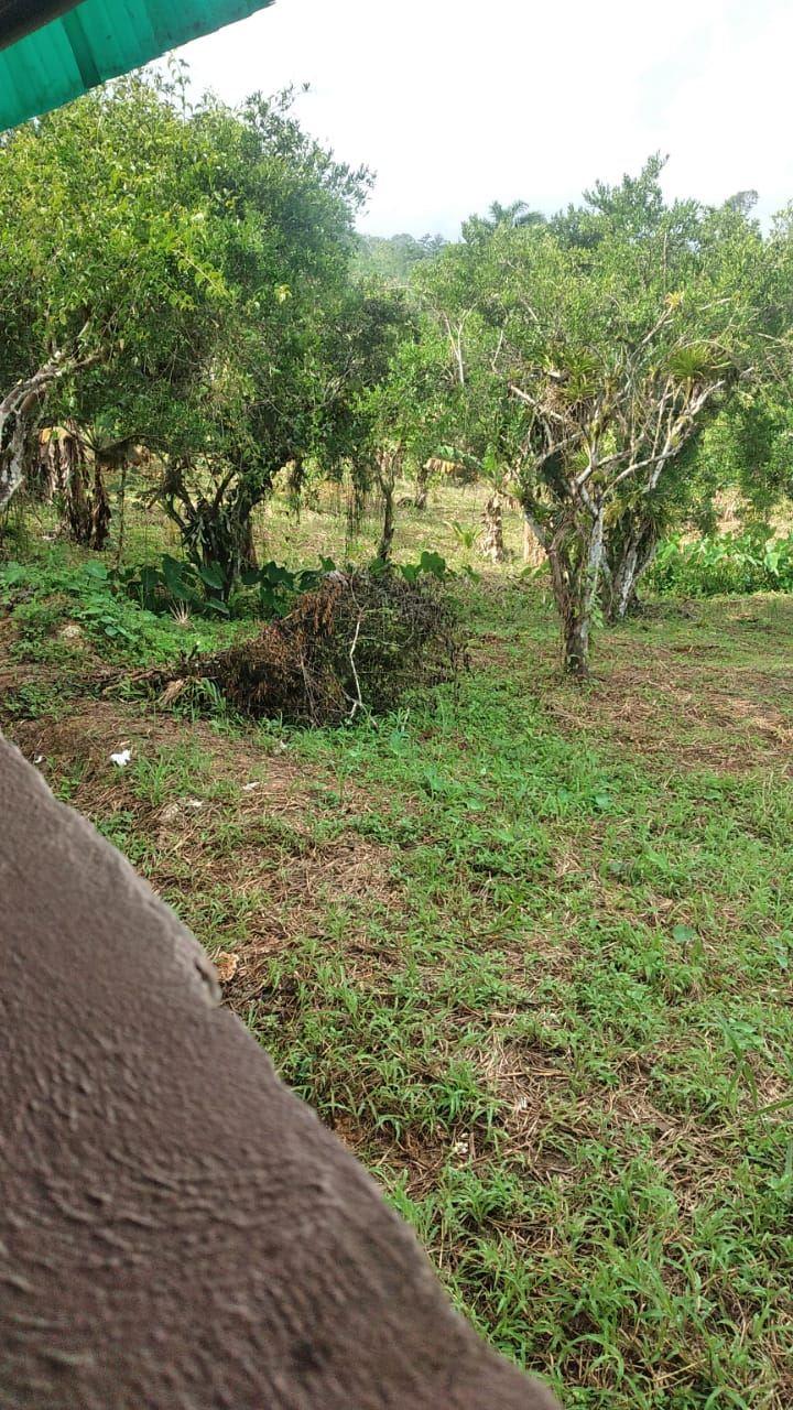 20650 sq ft Land for Sale in Cumuto — photo 3