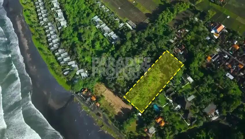 Prime Ocean-View Land for Sale Tabanan – Rare 53 Are Freehold Opportunity — photo 4
