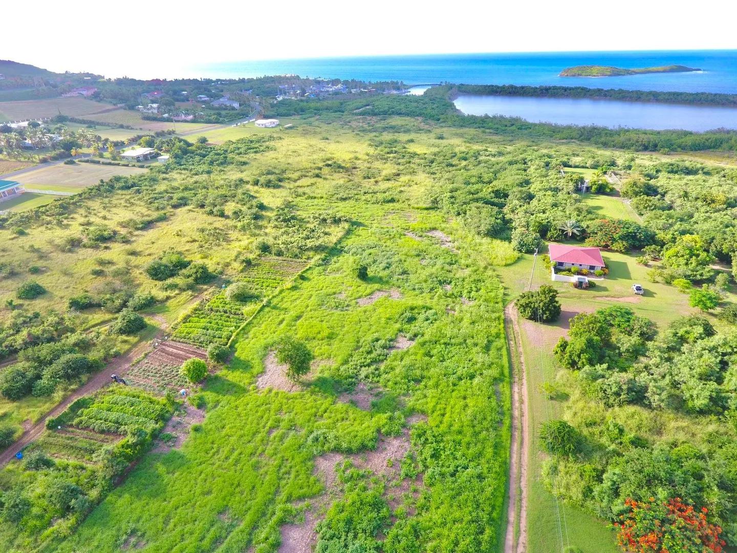 0.93 Acre Homesite with Sea View in Southgate Farm, St. Croix — photo 3