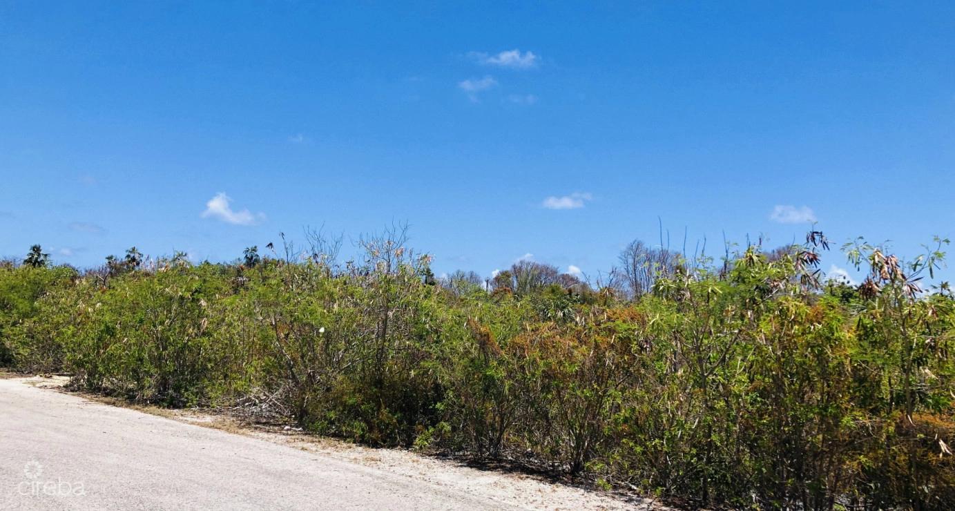 Colliers Duplex Lot - .32 Acres — photo 4