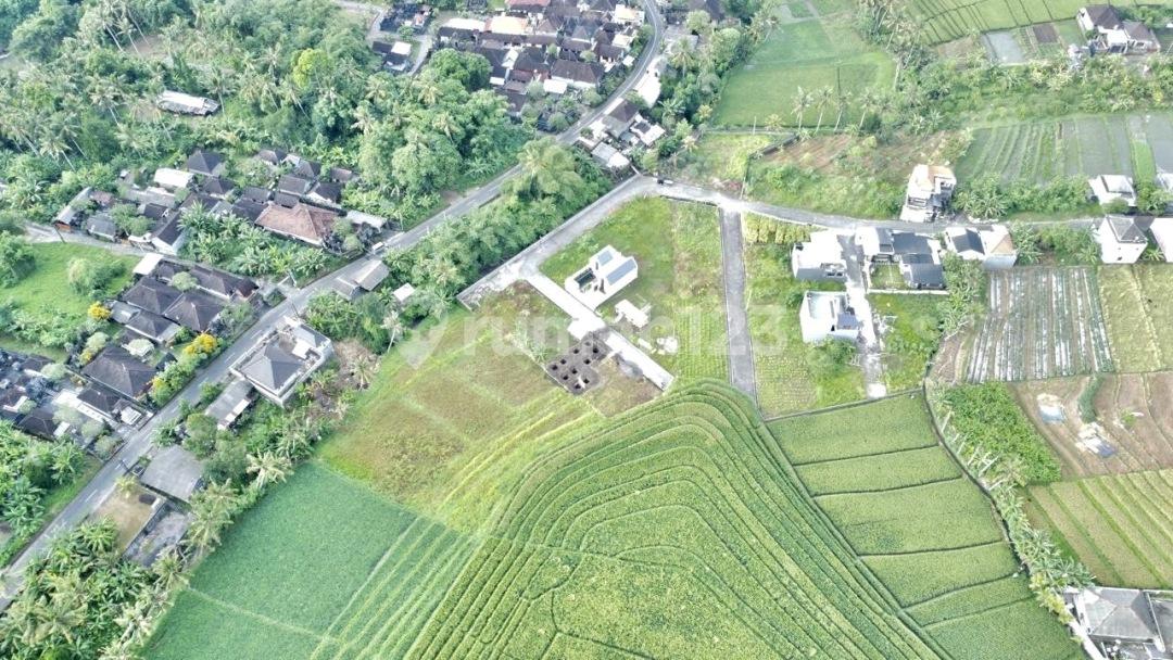 Land for sale in Tabanan with rice field views — photo 4