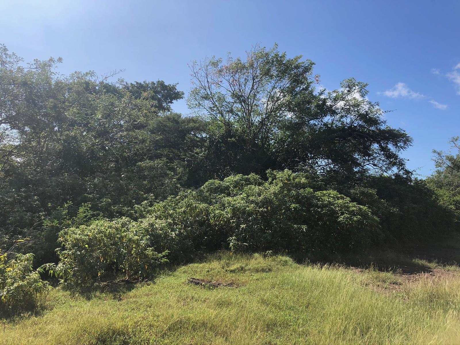 14 Acres Development Land in Gingerland, Nevis — photo 4