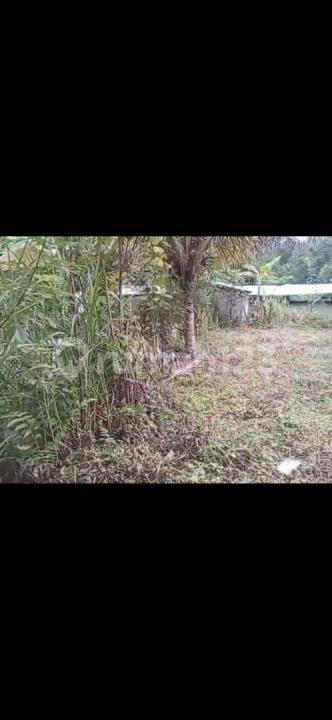 Super Cheap Land North Taro Ubud Ready to Build — photo 3