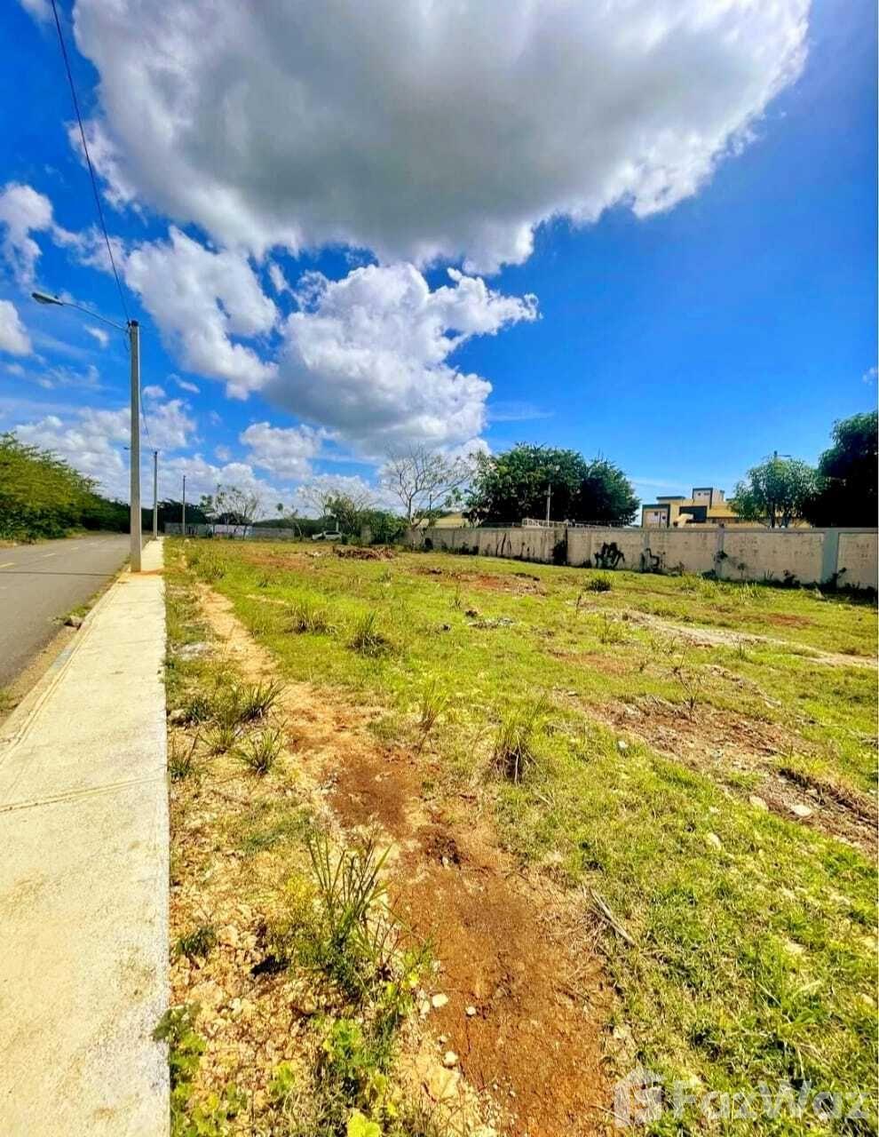 Land for sale in Santo Domingo — photo 3