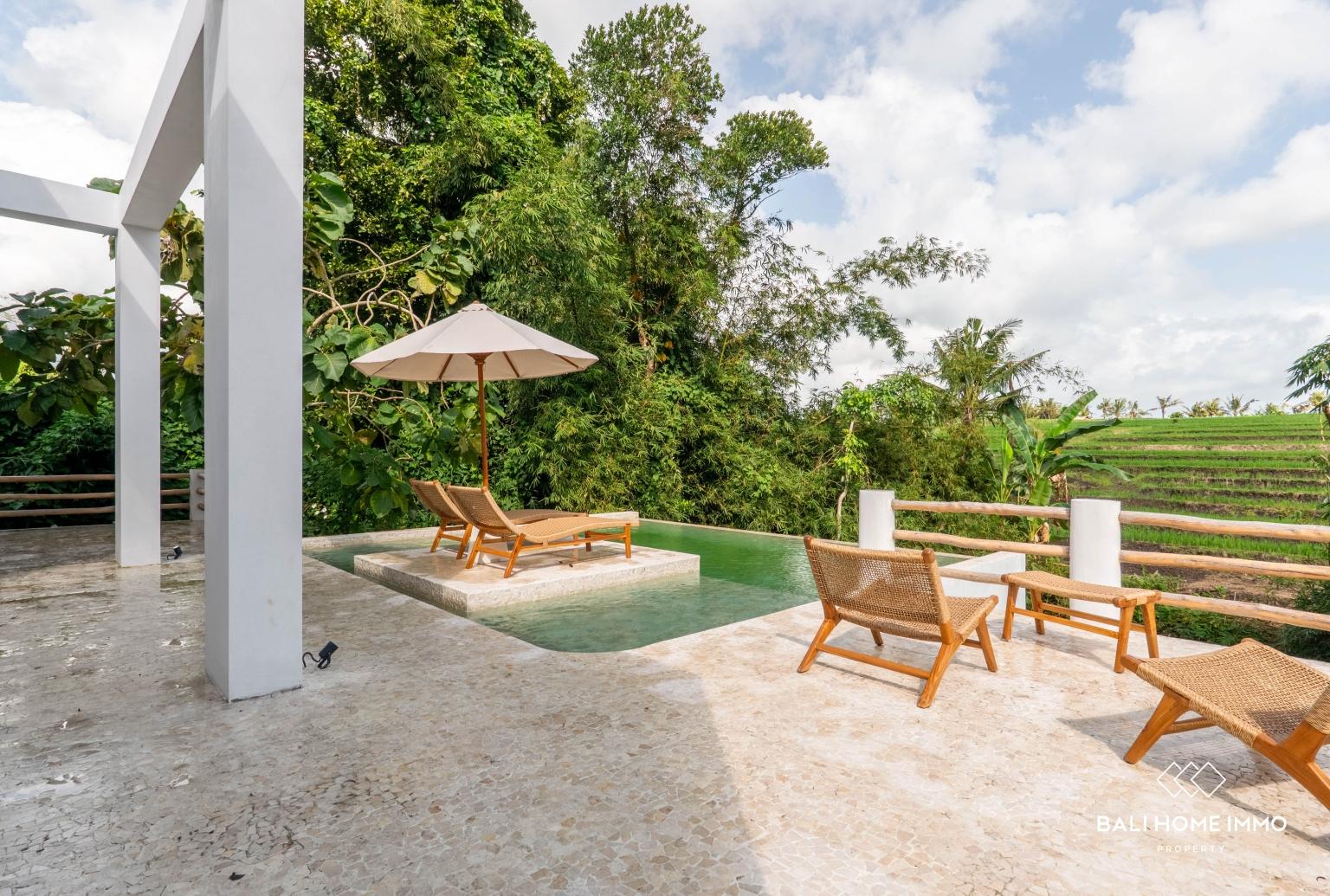 Tranquil 3-Bedroom Villa with Rice Field Views For Sale and Rent in Kedungu — photo 2