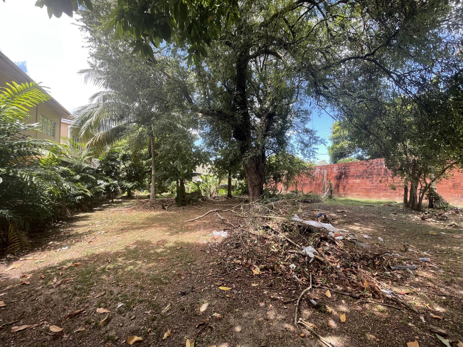 Petit Valley Land for Sale (2 Lots) on Early Morne Coco Road — photo 3