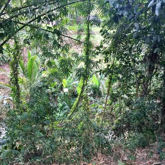 Studio property in Ubud — photo 1