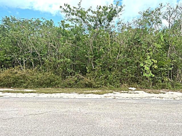 CLARENCE TOWN LOT WITH VI — photo 3