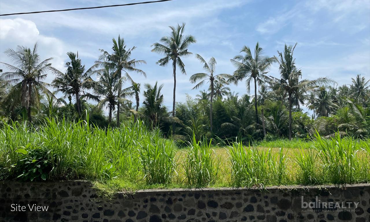 Pantai Saba Beachside Land - 2237 — photo 3