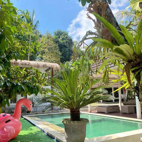 3-bedroom house in Narmada, Lombok Barat, Indonesia — photo 1