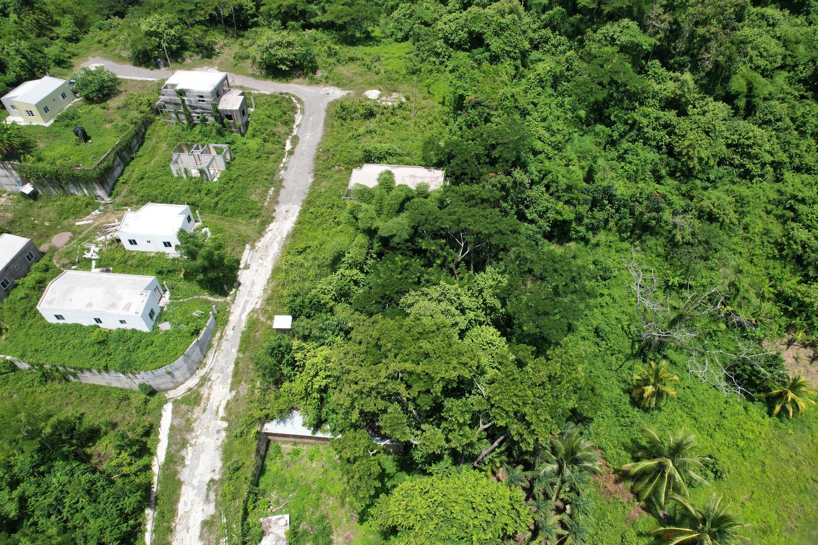 Haughton Court Lucea, Hanover — photo 2