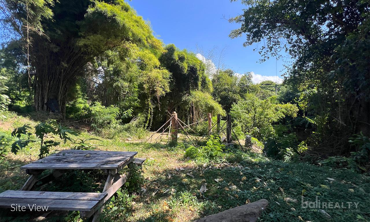 Premium Investment: 3710 sqm Freehold Riverfront Land in Padang Galak, Sanur — photo 1
