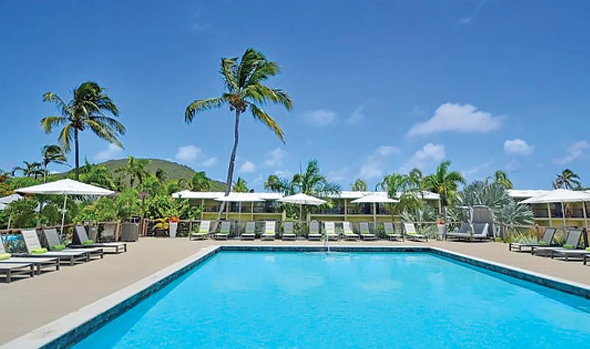 A long resort pool edged with white parasols and loungers under palms