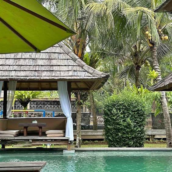 Studio house in Ubud — photo 1
