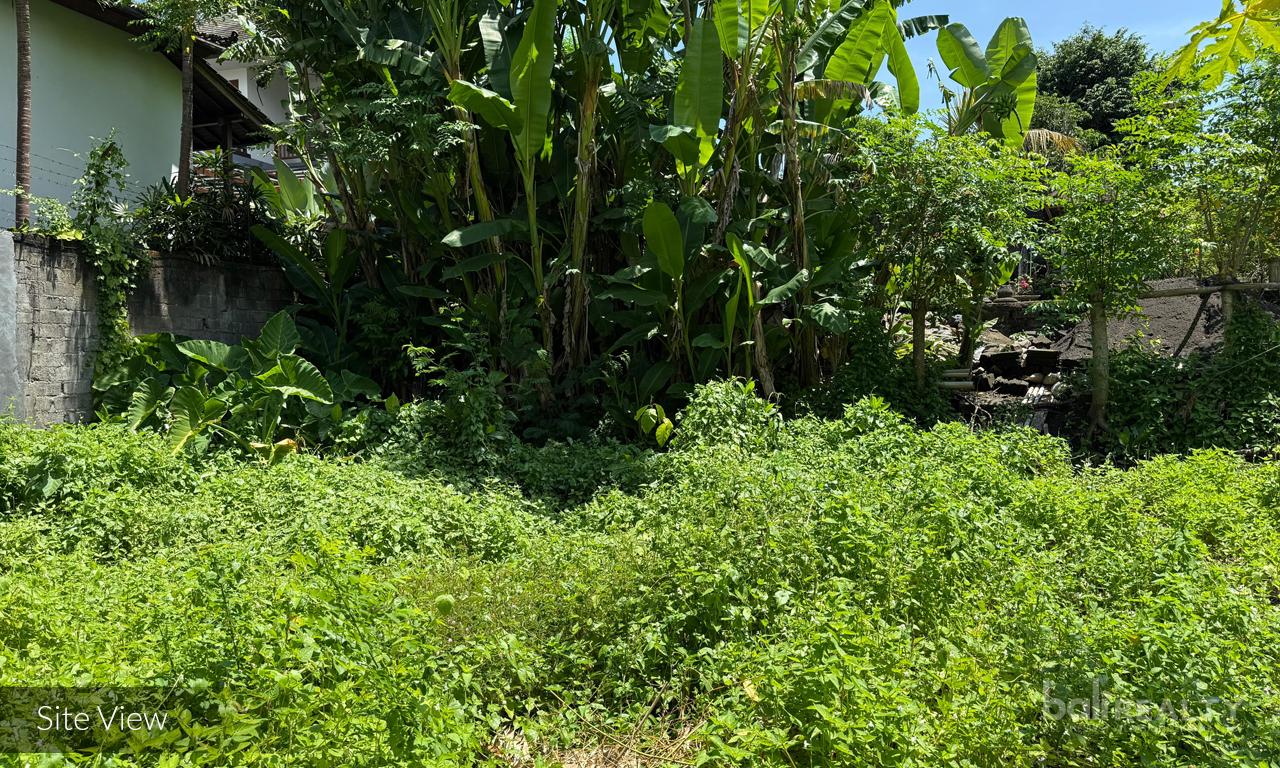 Ready-to-Build 430 sqm Plot Near Tanah Lot with Lush Rice Field Surroundings — photo 5