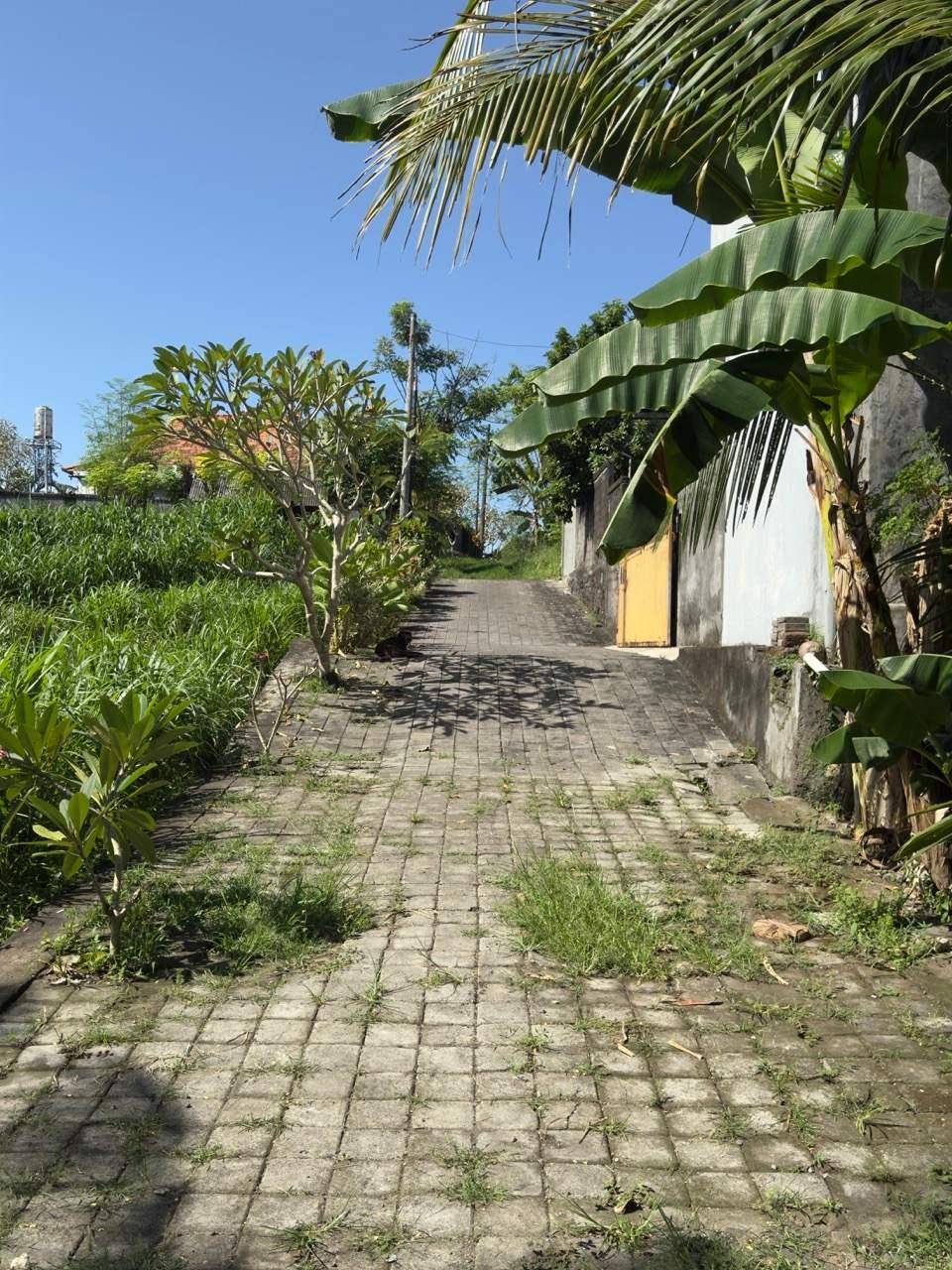 Land for Sale with River View – Blahbatuh, Gianyar, Bali — photo 4