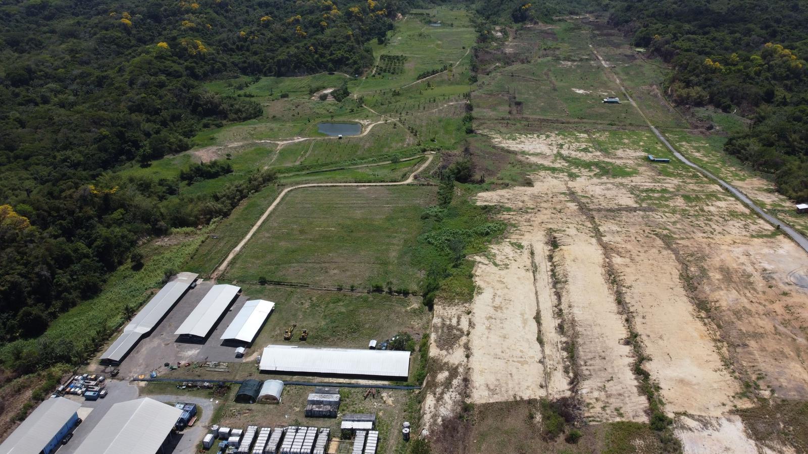 Mayaro Ocean View Residential Land — photo 5