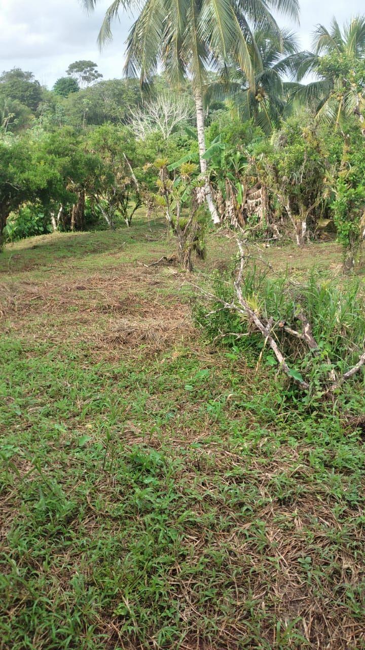 20650 sq ft Land for Sale in Cumuto — photo 1