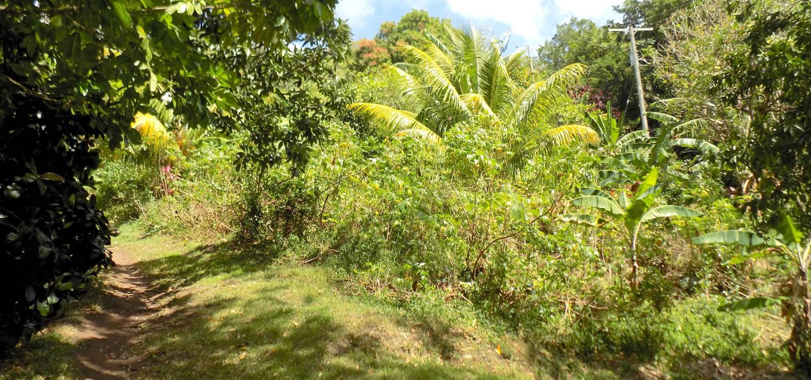 9.87 Acres of Development Land for Sale, Soufriere, St Lucia — photo 2