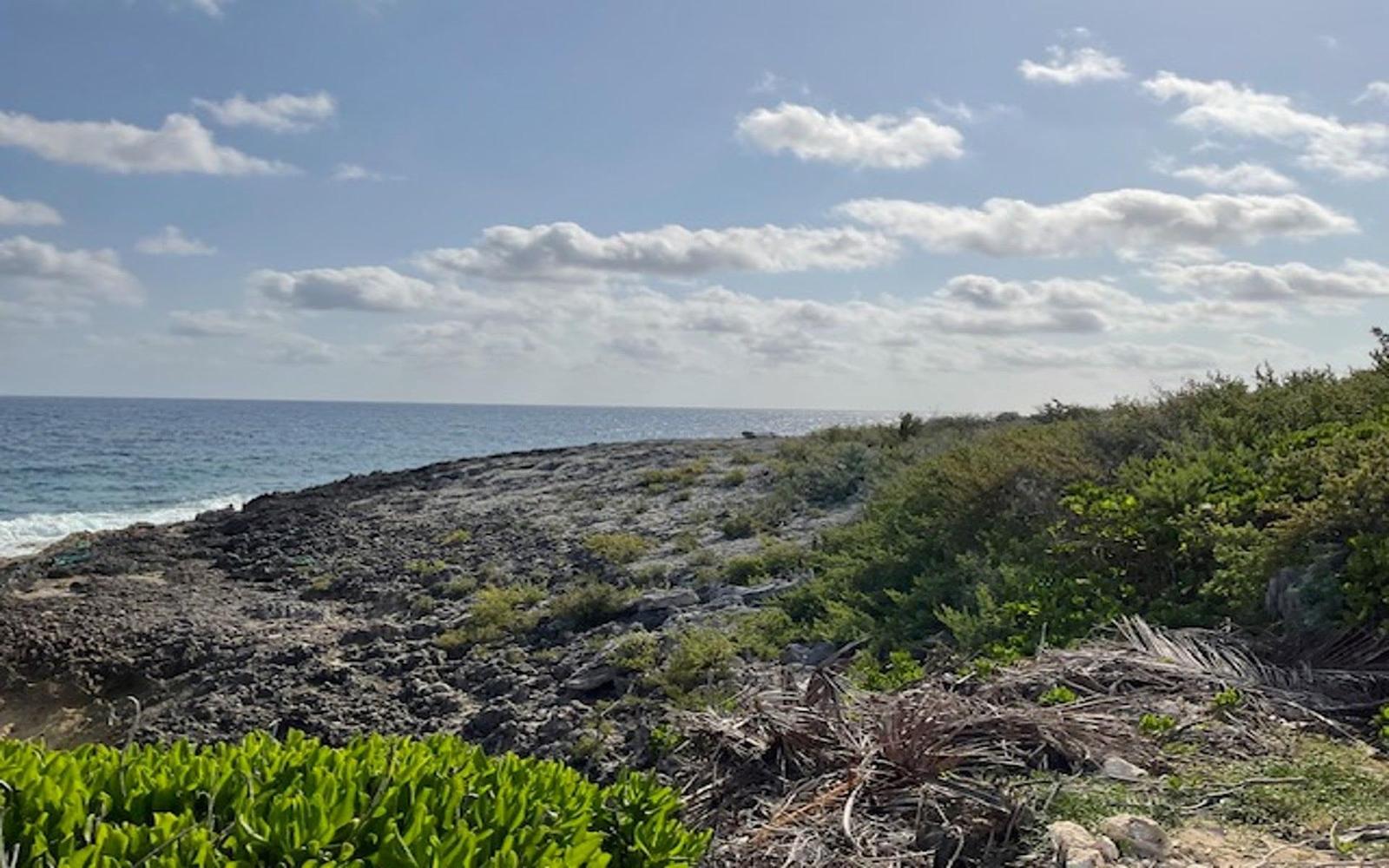 HAMILTON’S WATERFRONT LOT — photo 3