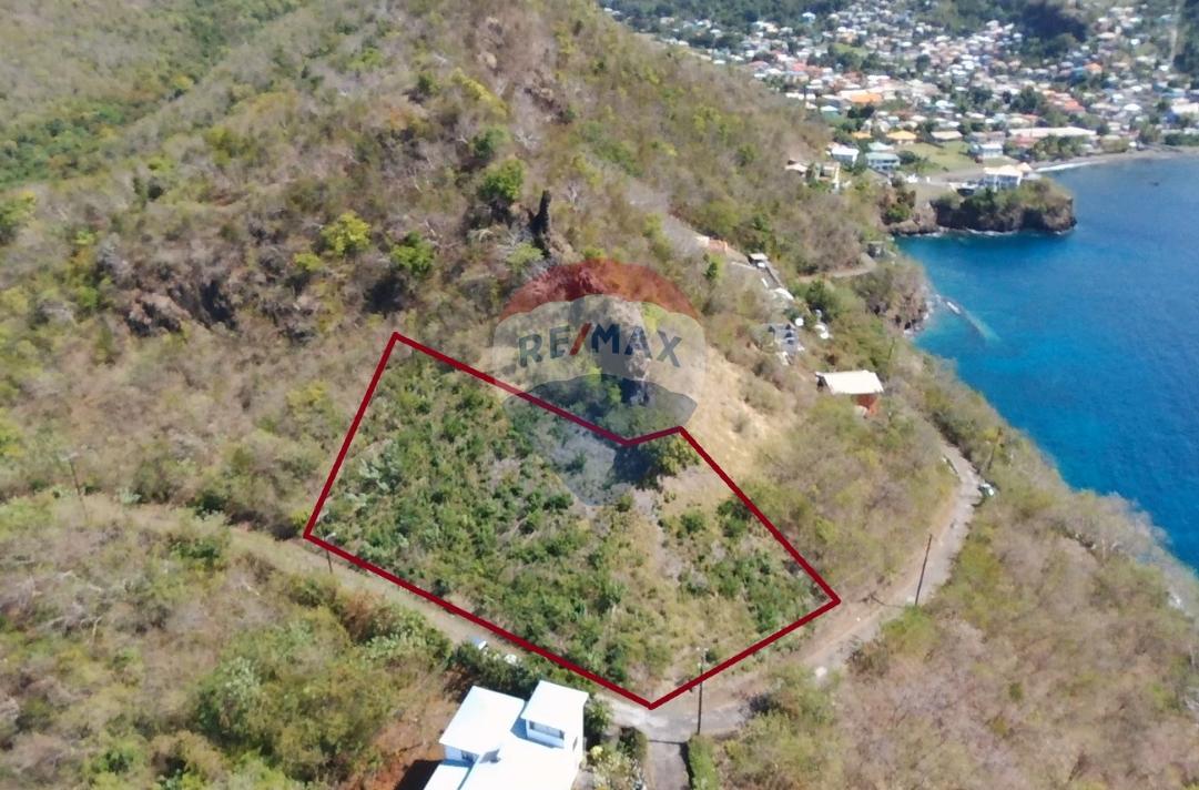 Residential Lot For Sale in Layou, St. Vincent — photo 5