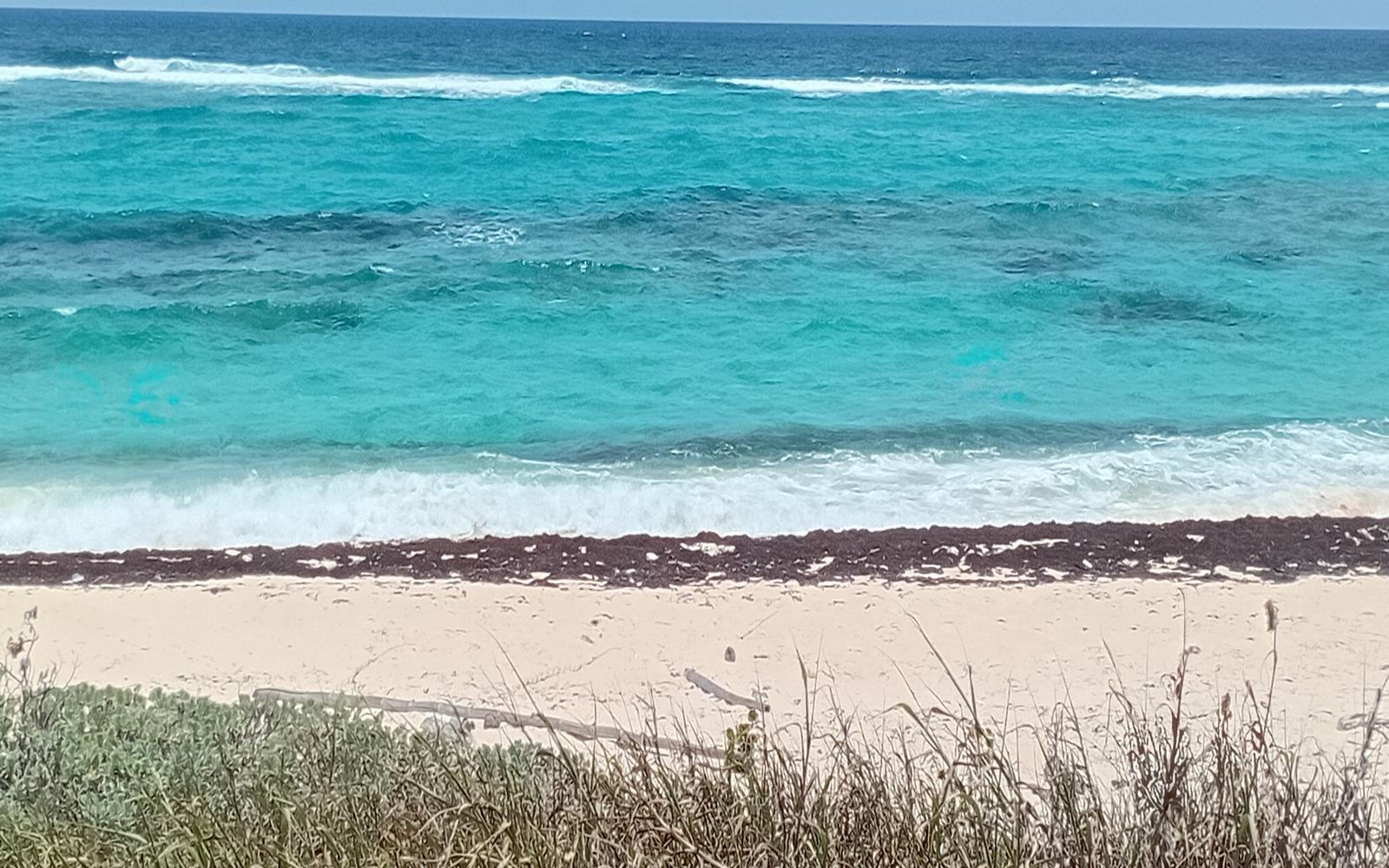 Beachfront Lot, 29.82 Acre — photo 4
