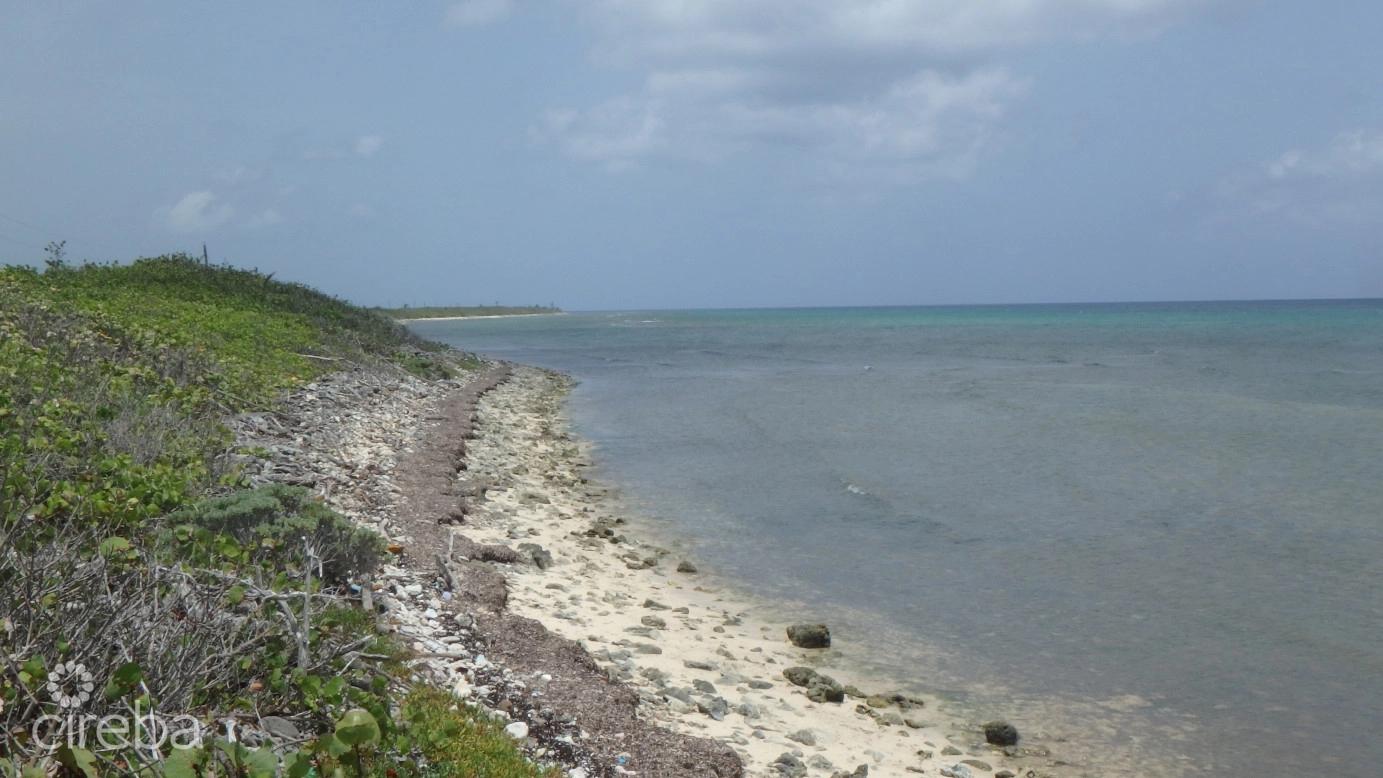 Little Cayman North Side Ocean Front Land — photo 1