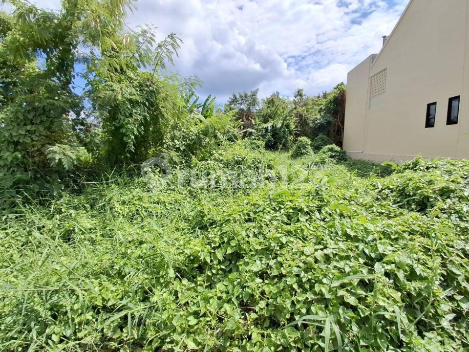 Premium land for sale in Pererenan, Canggu, Bali — photo 4