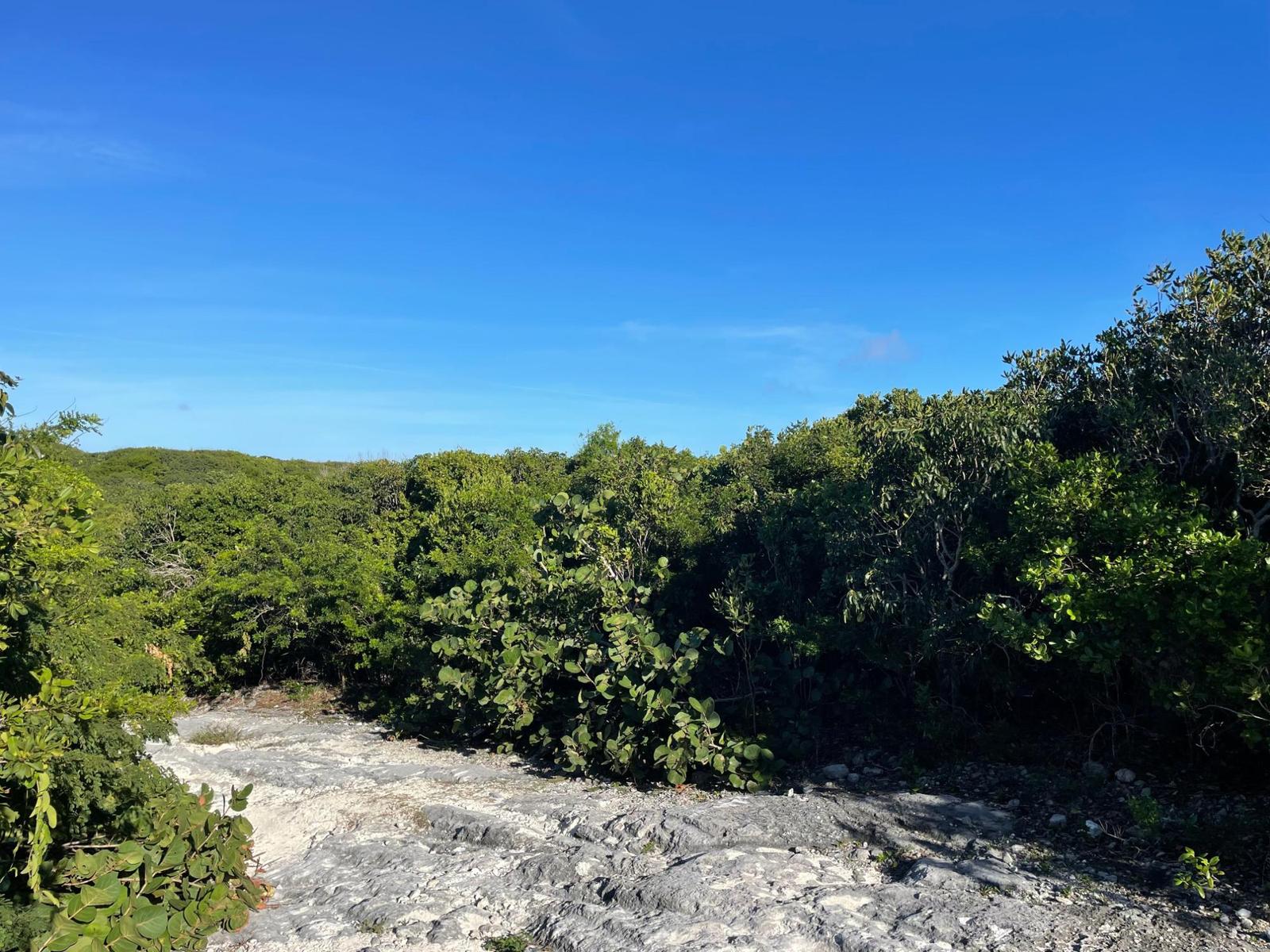 ELEUTHERA ISLAND SHORES — photo 1