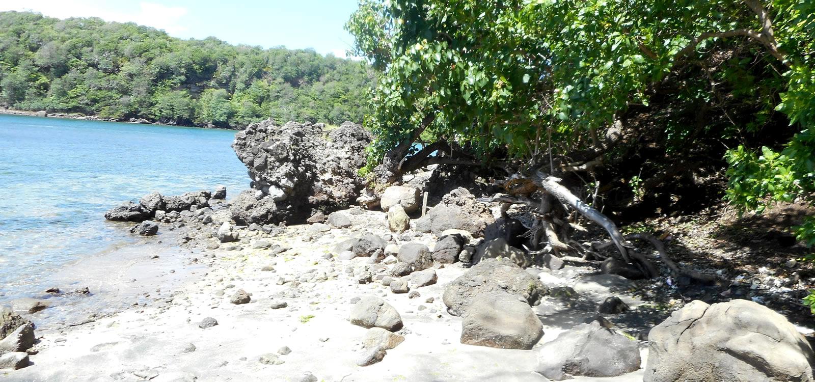50 Acres Beachfront Land St. David's, Grenada — photo 5