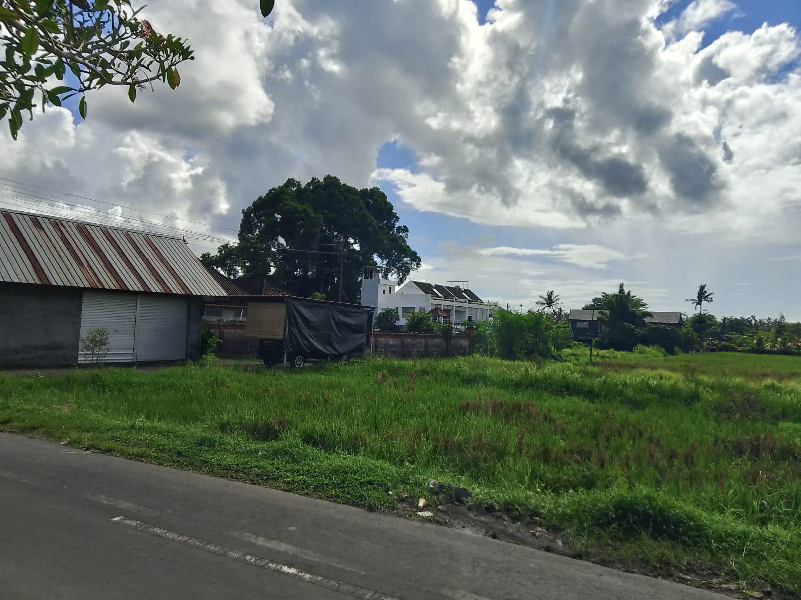 Panoramic Land for Sale in Mas, Bali — photo 4